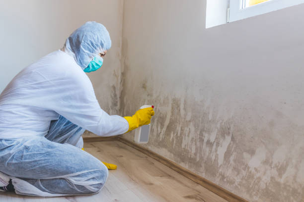 Hvac And Air Duct Mold Remediation inspection of HVAC system in Oakdale